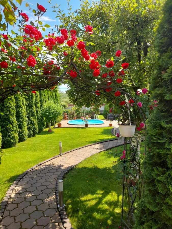 Villa Casa Ioana à Haţeg Extérieur photo